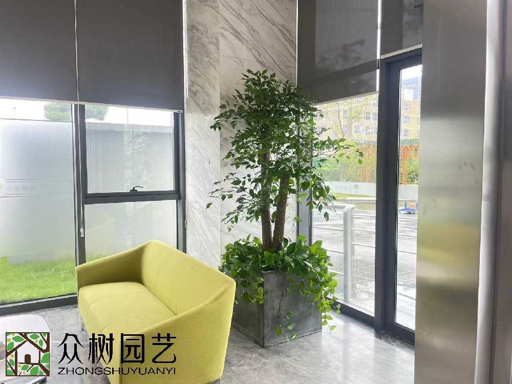 幸福樹